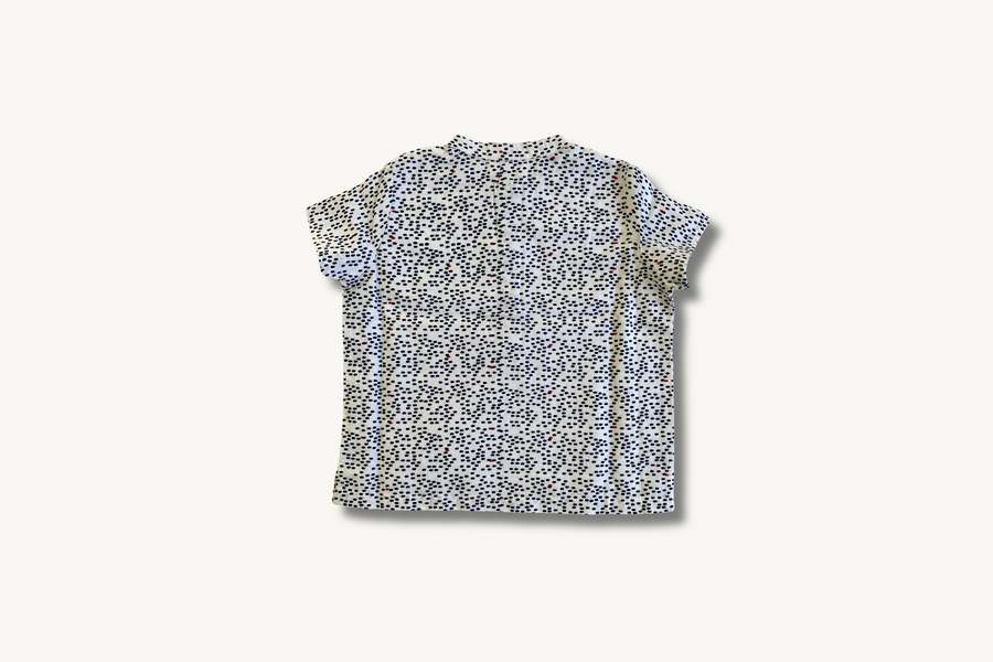 Korean Minnows shirt