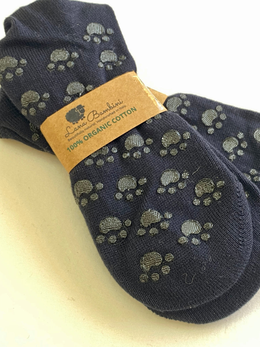 Dante Navy