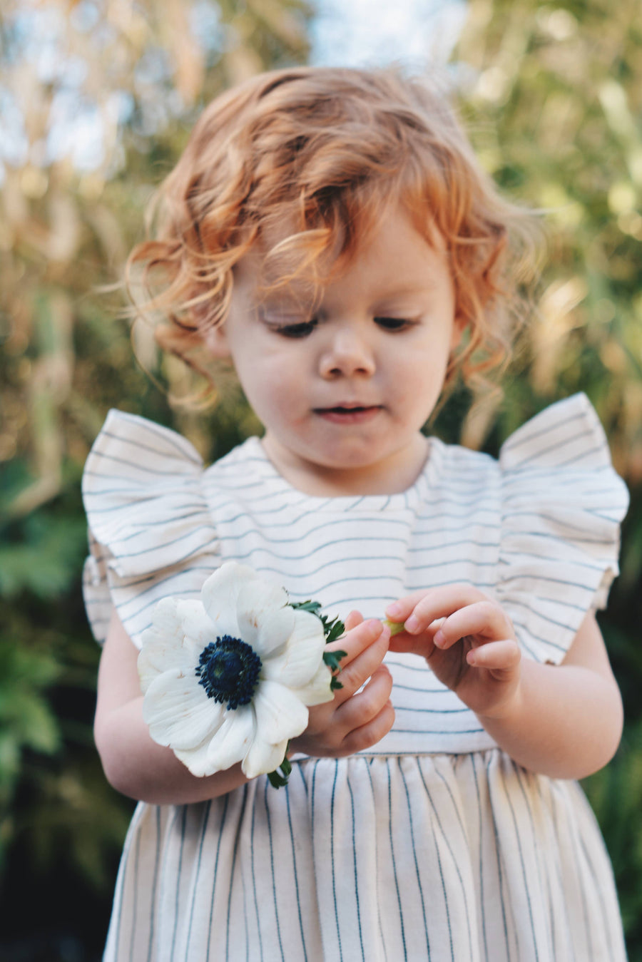 Baby / Girl Striped Summer Dress 100% Cotton
